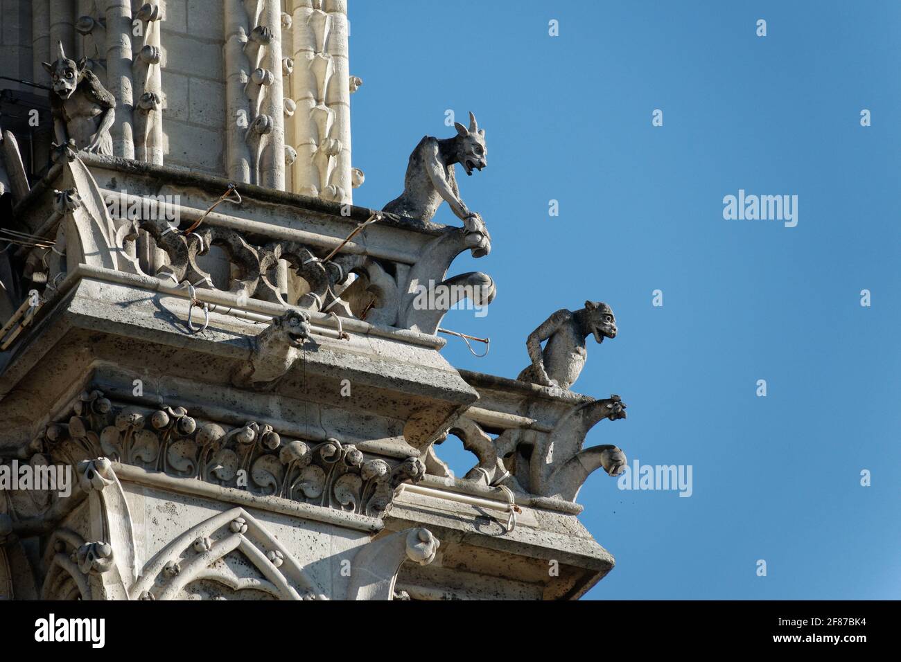 Gros plan des gargouilles de notre-Dame sur les backgrouns du ciel bleu à Paris, France Banque D'Images