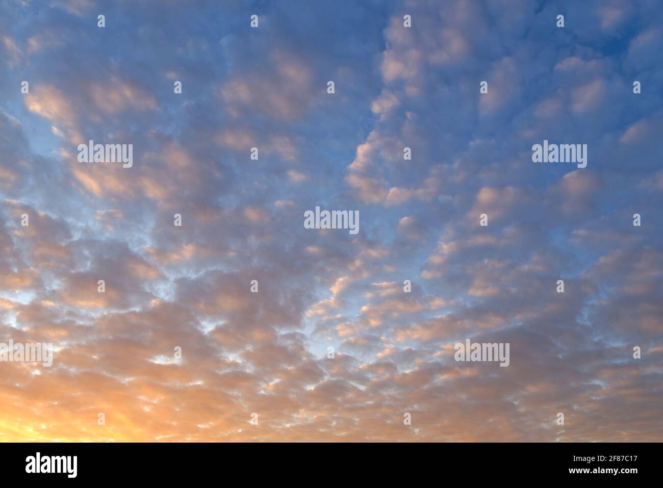 Magnifique ciel au coucher du soleil avec nuages, remplacement du ciel, fond de la nature Banque D'Images