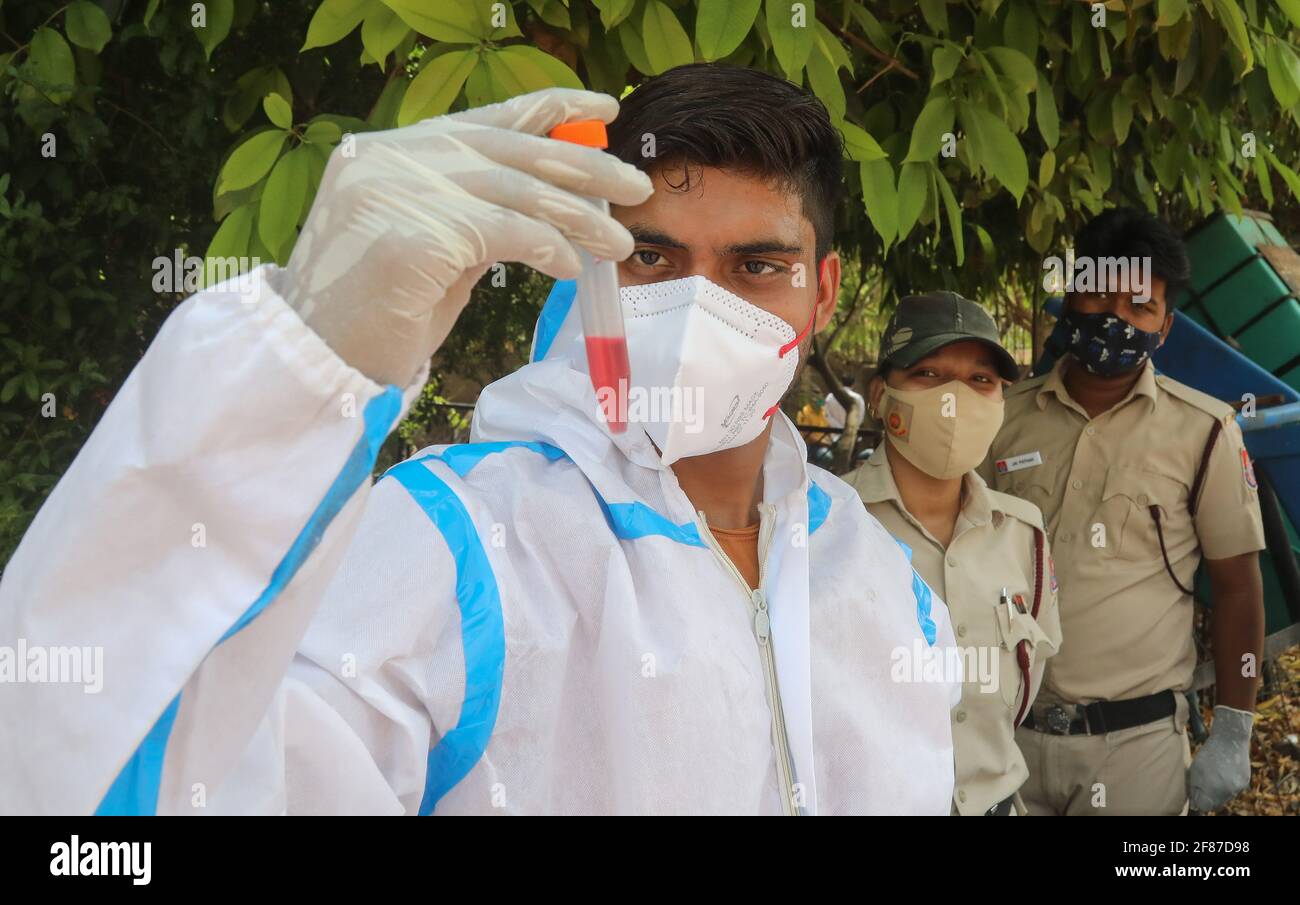 New Delhi, Inde. 12 avril 2021. Un professionnel de la santé portant un équipement de protection individuelle (EPI) tient un flacon d'échantillon d'écouvillon buccal après un test de réaction en chaîne de polymérase (RT-PCR) de transcription inverse Covid-19 au centre d'essais sur route de la zone industrielle de Wazzirpur à New Delhi. L'Inde a enregistré 168,912 nouveaux cas de Covid-19, soit la plus forte augmentation d'un jour et 904 décès au cours des 24 dernières heures. (Photo par Naveen Sharma/SOPA Images/Sipa USA) crédit: SIPA USA/Alay Live News Banque D'Images