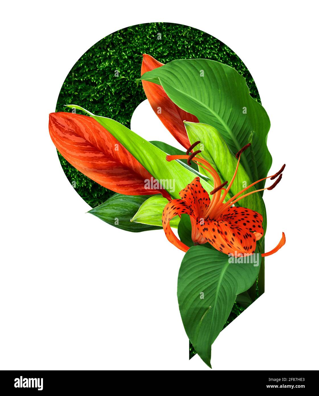 police de fleurs alphabet q, fait de vraies fleurs. Collection de police flore brillante pour votre décoration unique au printemps, été, invitations de mariage, gr Banque D'Images