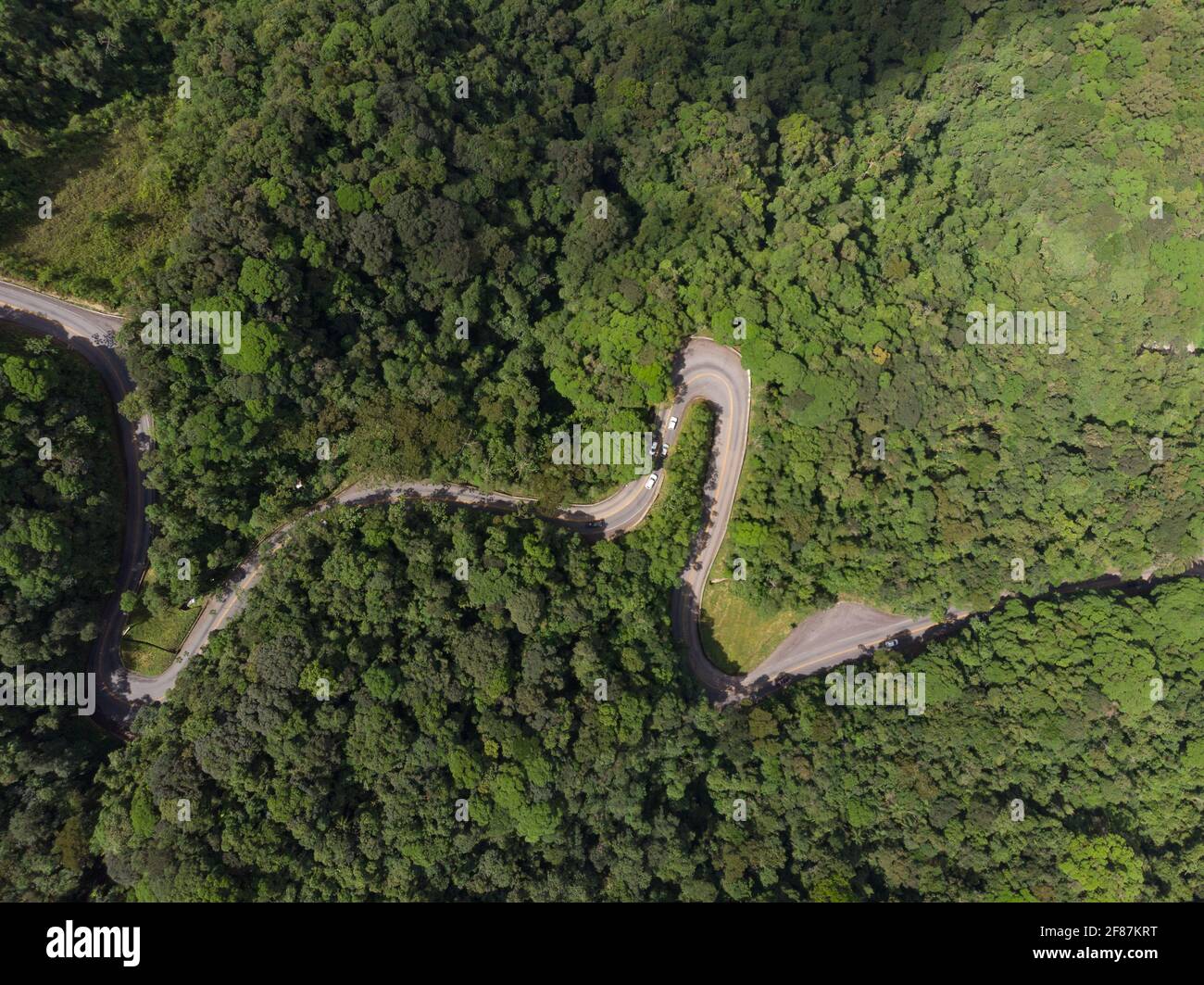 La route sinueuse Oswaldo Cruz au parc national de Serra do Mar près d'Ubatuba, se Brésil Banque D'Images