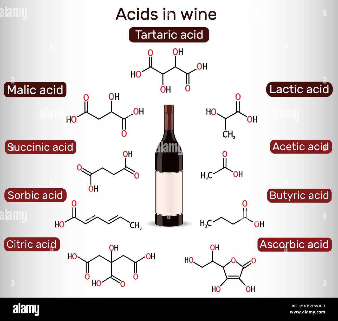 Acides dans le vin. Tartrique, malique, lactique, citrique, acétique, acide ascorbique, butyrique, sorbique, succinique. Formules chimiques du squelette. Illustration vectorielle Illustration de Vecteur