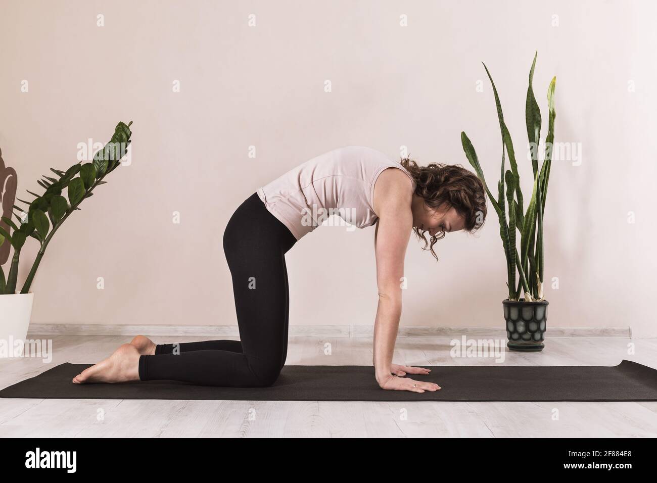 Femme en sport pratiquant le yoga, debout dans marjaryasana asana, pose de chat, s'exerçant sur un tapis à la maison près du mur. Banque D'Images