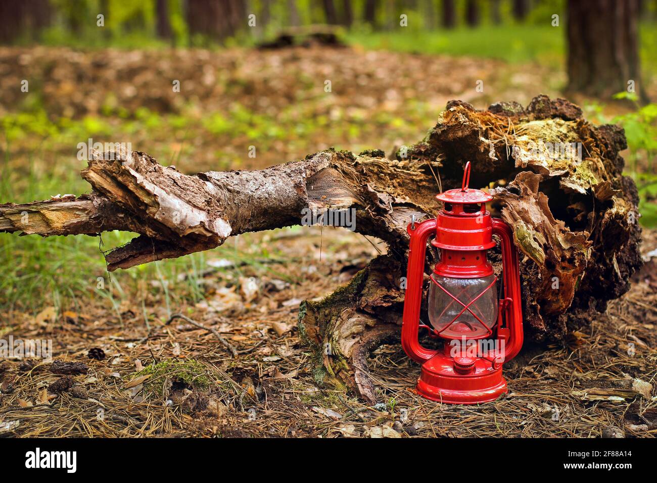 Lampe au kérosène dans la forêt. Photo abstraite Banque D'Images