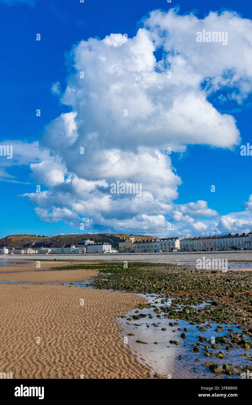 La plage de Llandudno dans le nord du pays de Galles, Royaume-Uni Banque D'Images