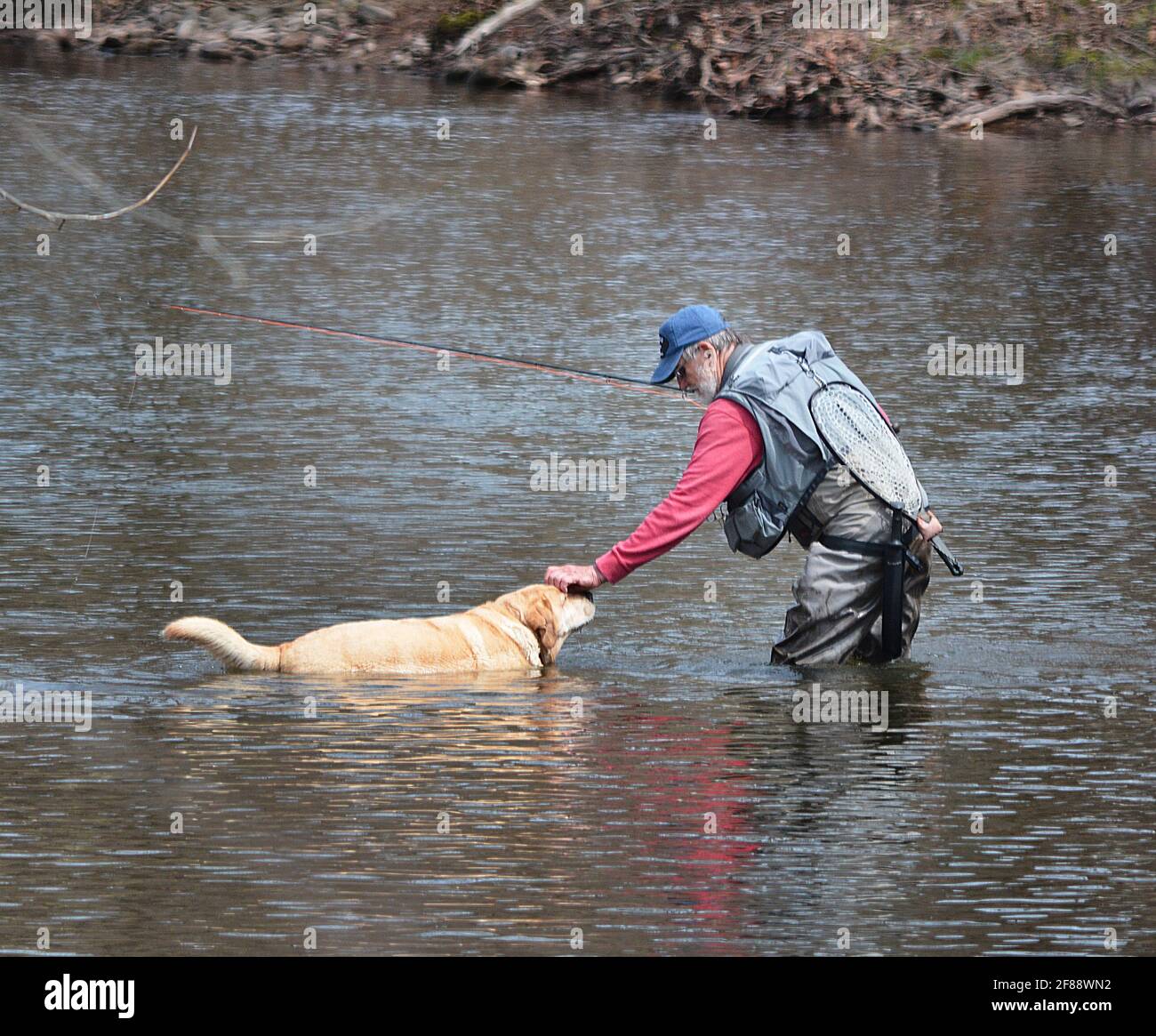 Pêche à la truite sur 'Fishing Creek', Benton, Pennsylvanie, États-Unis Banque D'Images