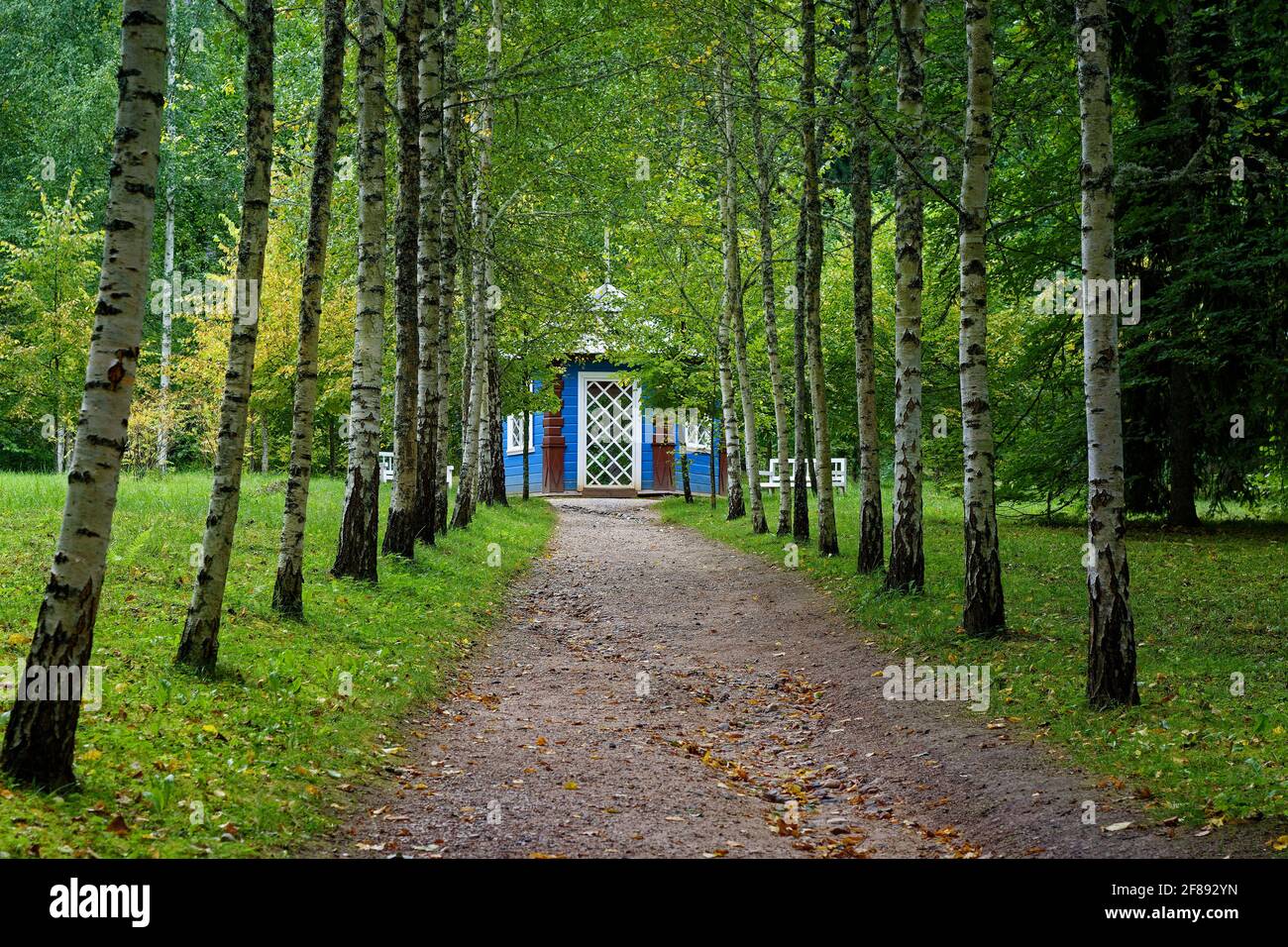 Pavillon bleu d'été au bout d'une allée de bouleau dans le parc d'automne du domaine de Mikhaïlovskoye dans le Gory de Pushkinskiye. Banque D'Images
