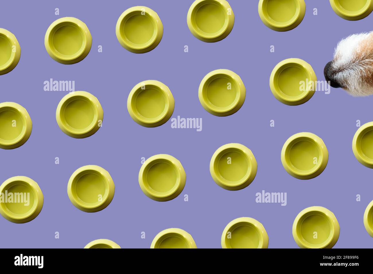 Concept minimaliste d'alimentation pour chiens avec motif géométrique bols canins Banque D'Images