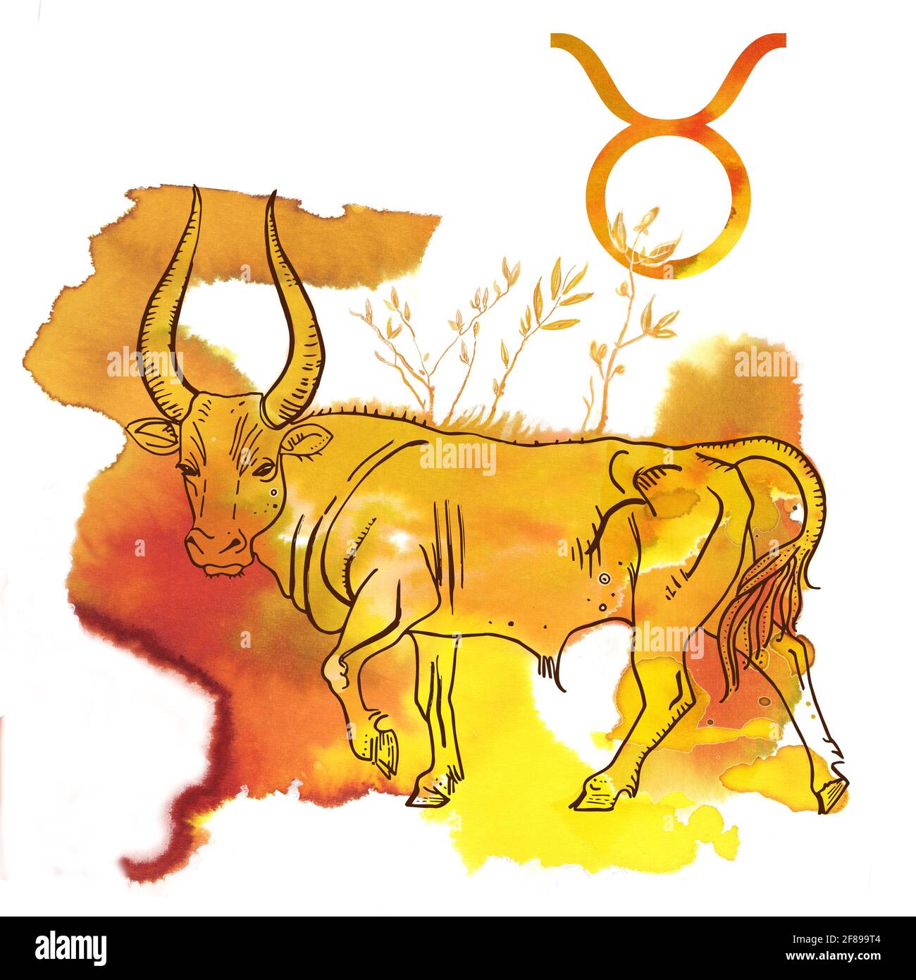 Symbole Taurus. Illustration à l'encre de taureau à cornes sur une texture d'éclaboussures d'aquarelle jaune et orange brillante. Astrologie, dire de fortune, horoscope, progno Banque D'Images
