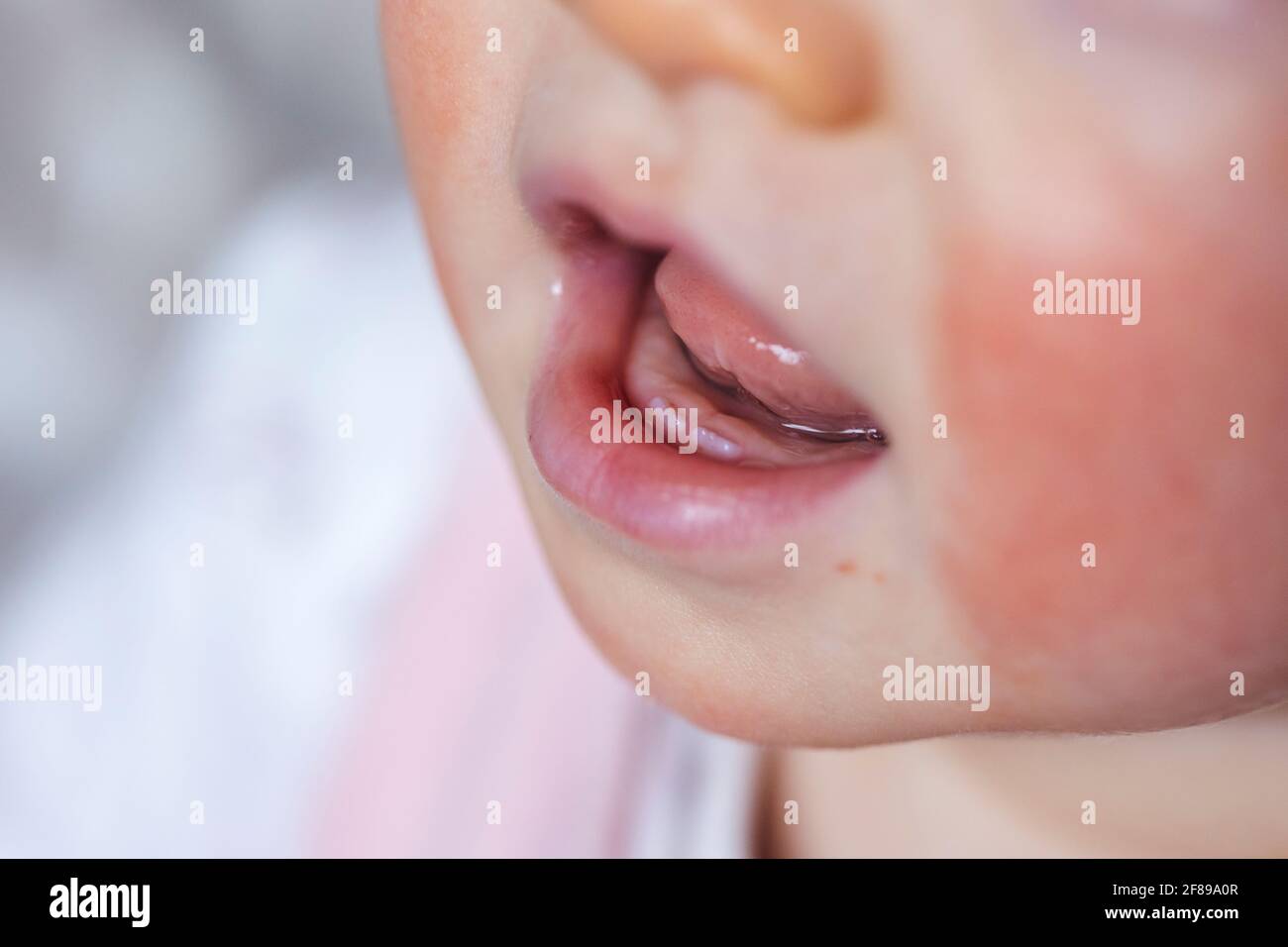 Un Portrait Macro D Une Bouche De Bebe Avec Les Deux Premieres Petites Dents Blanches Sortant Des Gencives Les Deux Dents Ne Font Que Quelques Millimetres De Long Devant Photo Stock Alamy