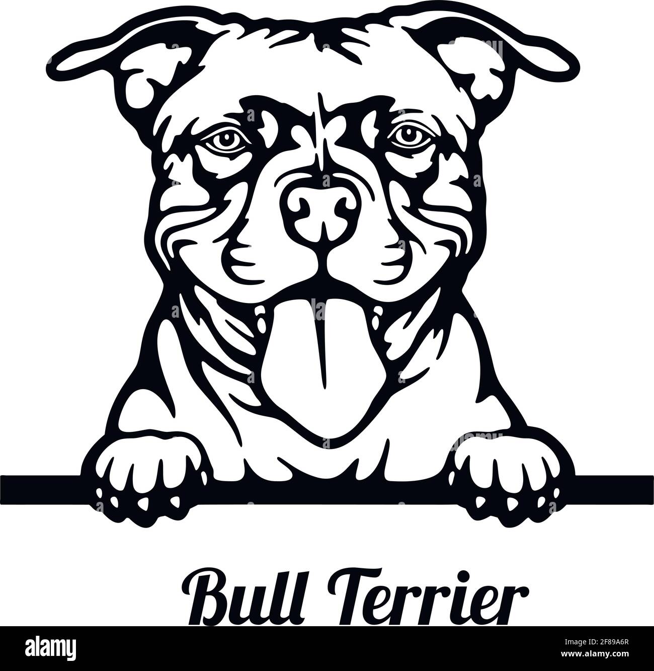 Chien de Pékin Bull Terrier - tête isolée sur blanc Illustration de Vecteur
