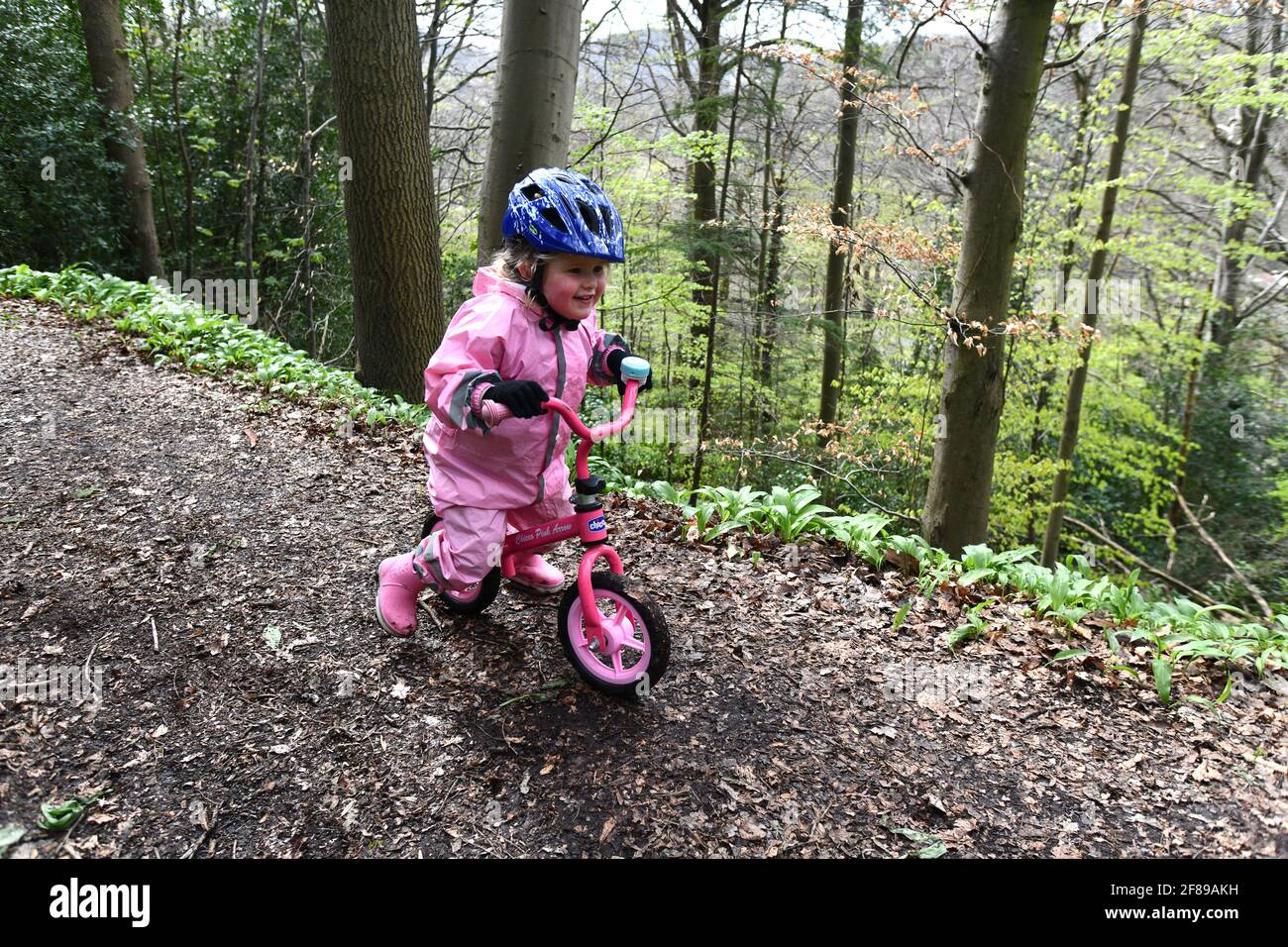 Enfant à vélo d'équilibre rose sur la piste boisée Grande-Bretagne, Royaume-Uni Banque D'Images
