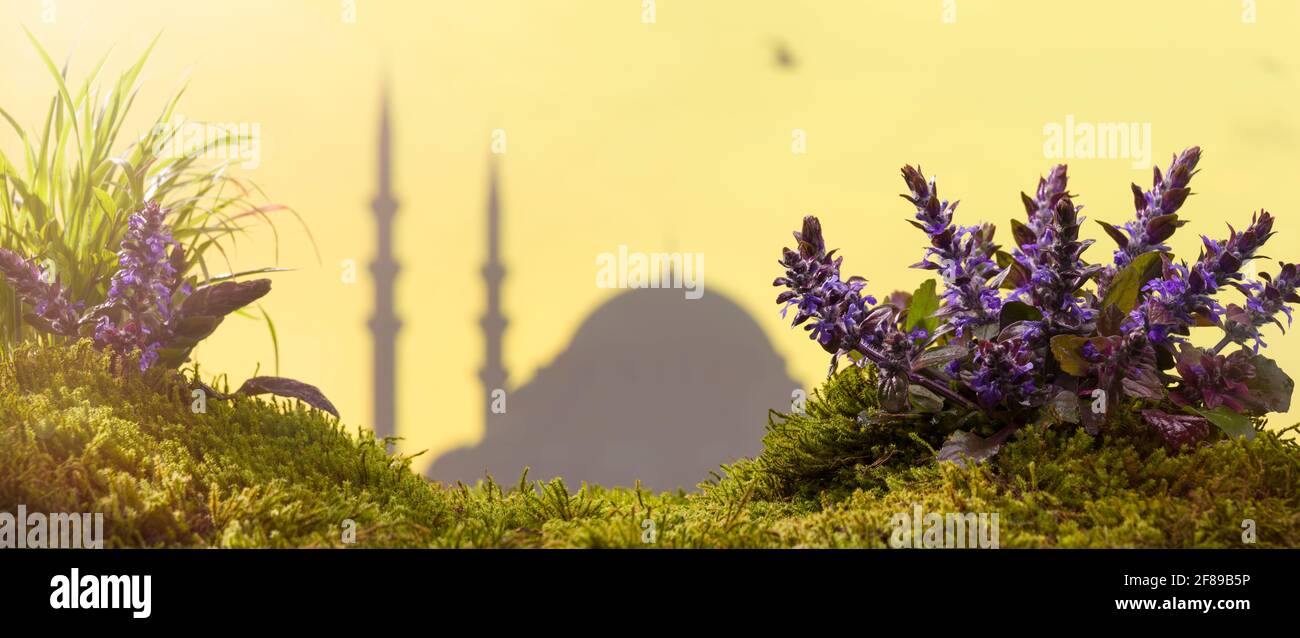 Silhouette mosquée au coucher du soleil sur fond avec fleurs de printemps Banque D'Images
