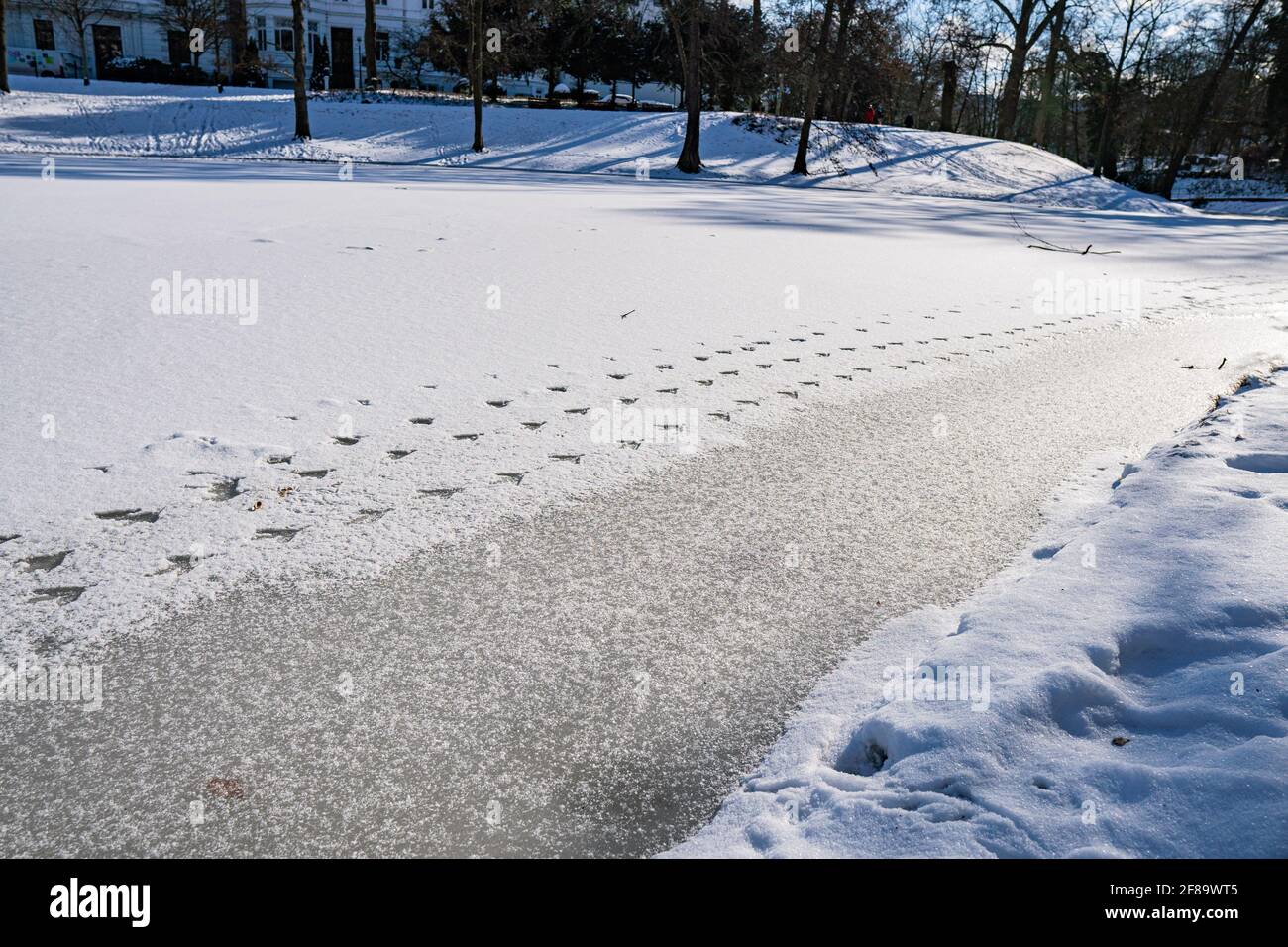 rempart entièrement recouvert de neige avec un peu de canard et d'animal empreintes sur le lac gelé à brême au soleil à hiver Banque D'Images