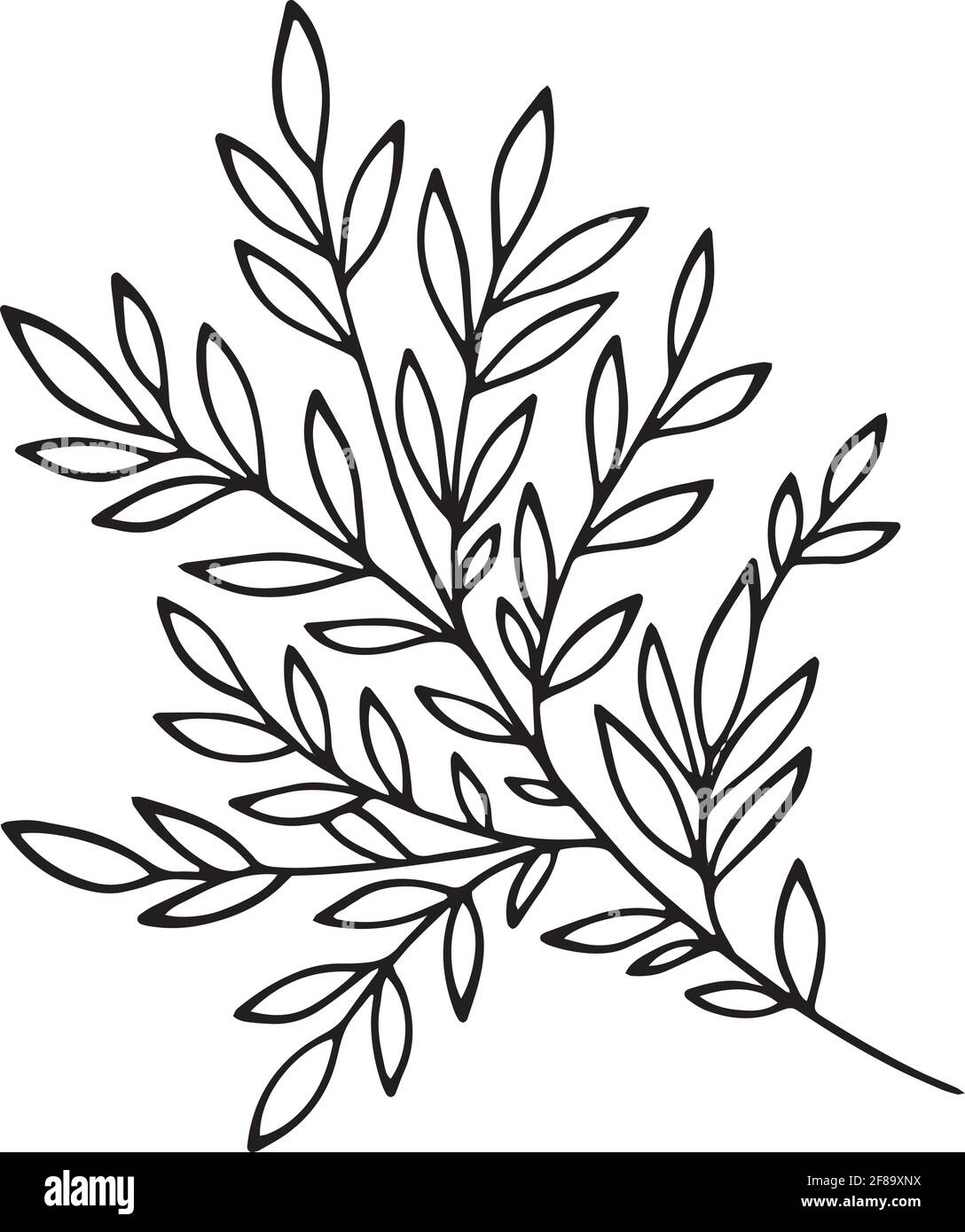 Icône de branche d'arbre, dessin à la main et style de contour Illustration de Vecteur