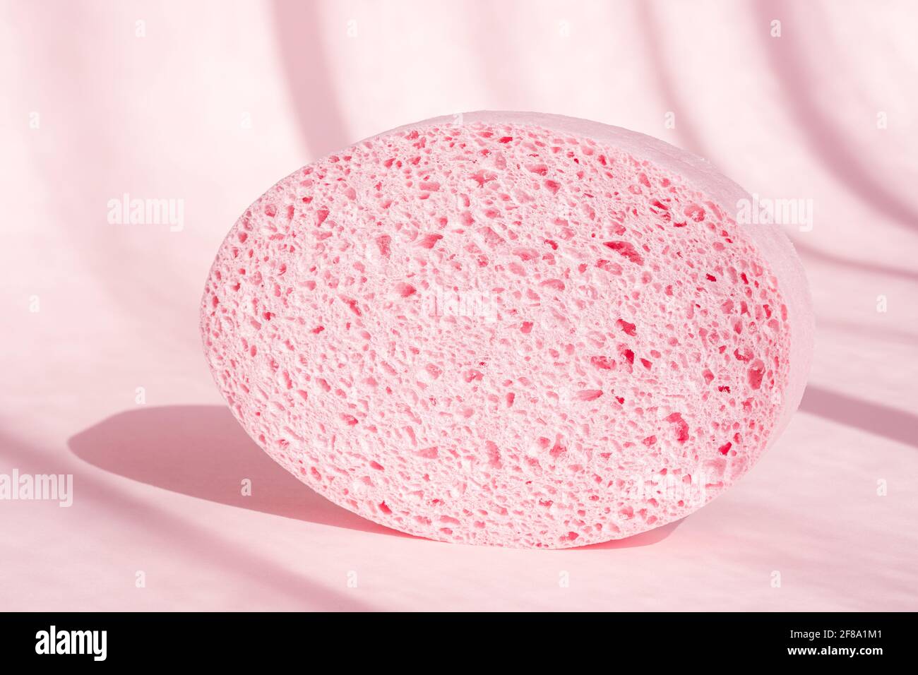 Éponge poreuse rose pour le bain sur fond rose avec ombres. Banque D'Images