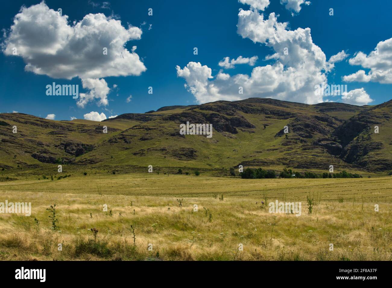 Paysage de montagnes dans la région de la Sierra de la Ventana. Pris un matin d'été sous un ciel bleu avec quelques nuages blancs Banque D'Images