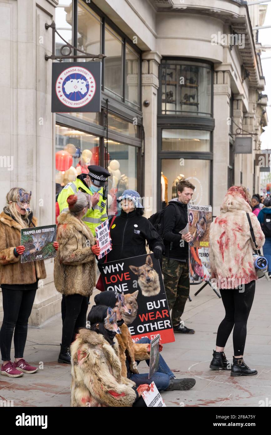 Londres le 12 avril 2021: Des militants de Peta protestent devant un  magasin « Canada Goose » contre la cruauté envers les animaux sur Regent  Street, au Royaume-Uni Photo Stock - Alamy