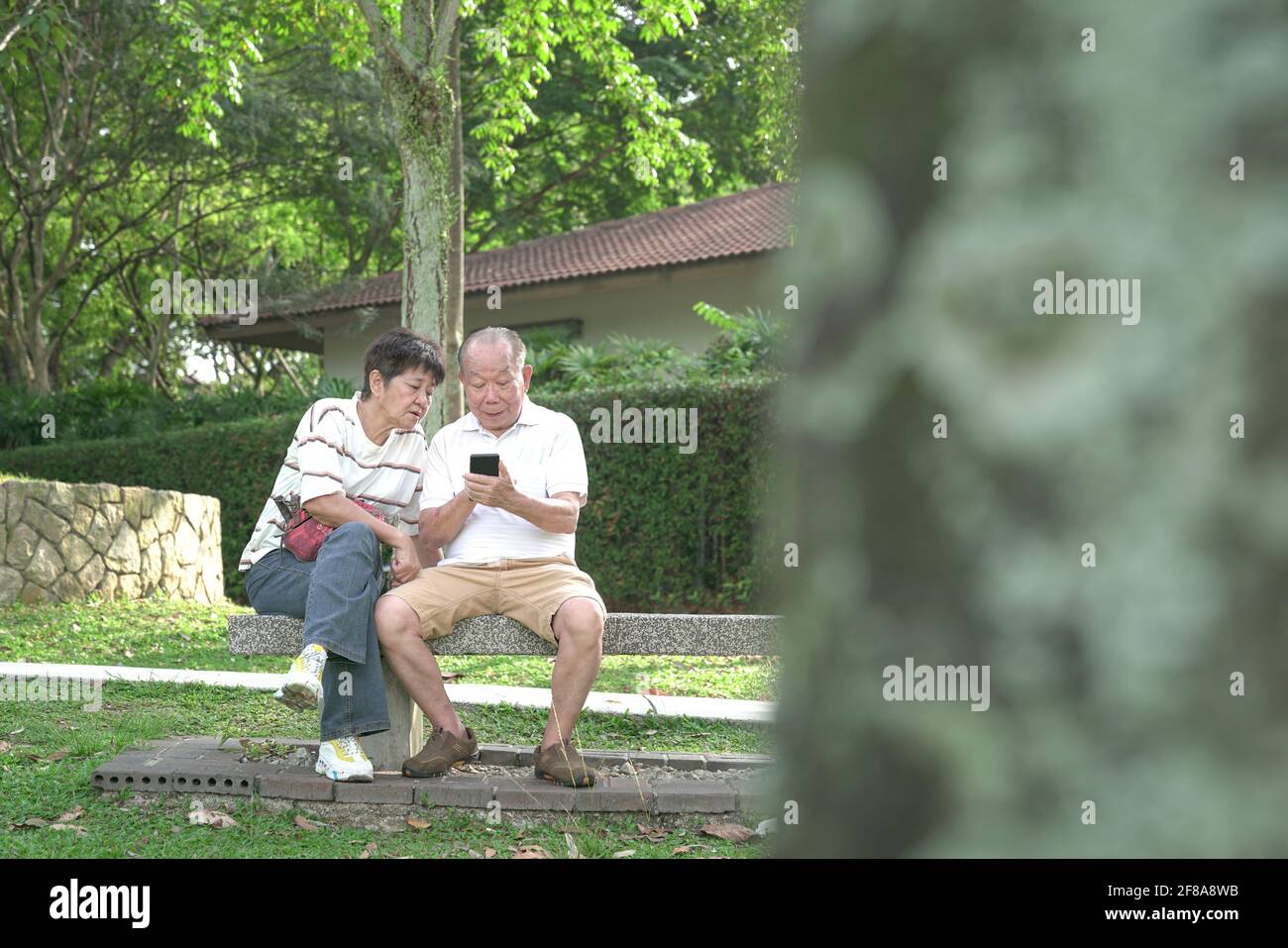Un couple asiatique de haut niveau qui aime lire le téléphone dans le parc. Copier l'espace. Banque D'Images