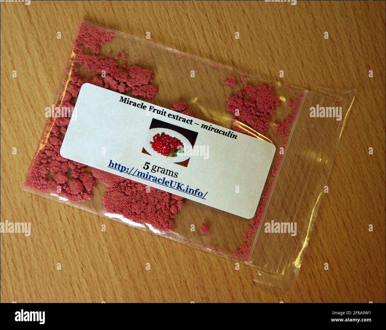 Jerome Taylor essaie LE FRUIT MIRACLE ( Synsepalum Dulcificum) Ce qui rend les aliments aigre et amer goût sweeter.photographie par David Sandison l'indépendant Banque D'Images