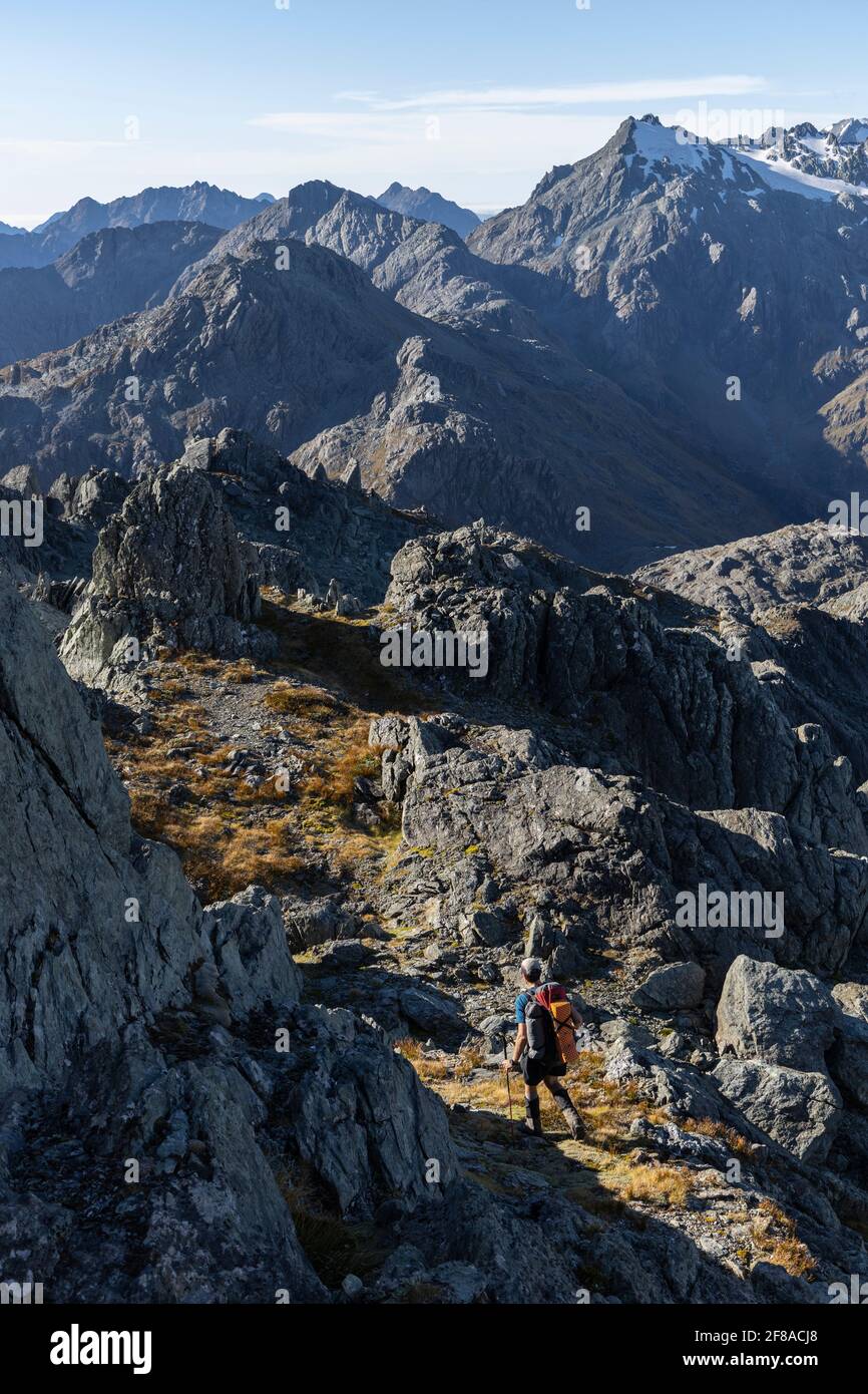 Homme randonnée dans les Alpes du Sud, Nouvelle-Zélande Banque D'Images