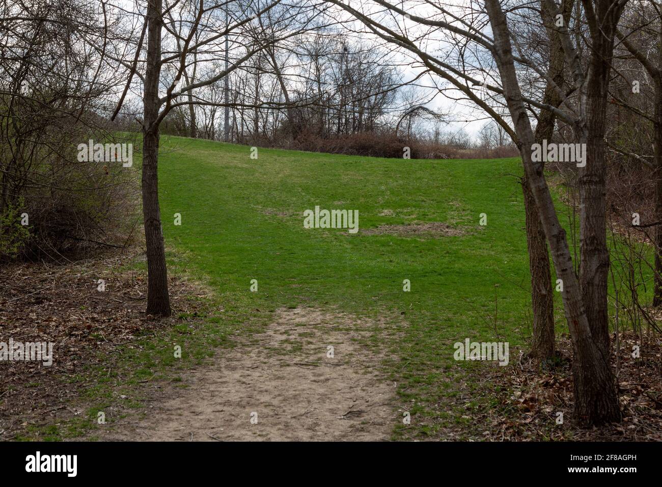Un sentier se termine par une clairière au parc du comté de Metea dans le comté d'Allen, Indiana, États-Unis. Banque D'Images