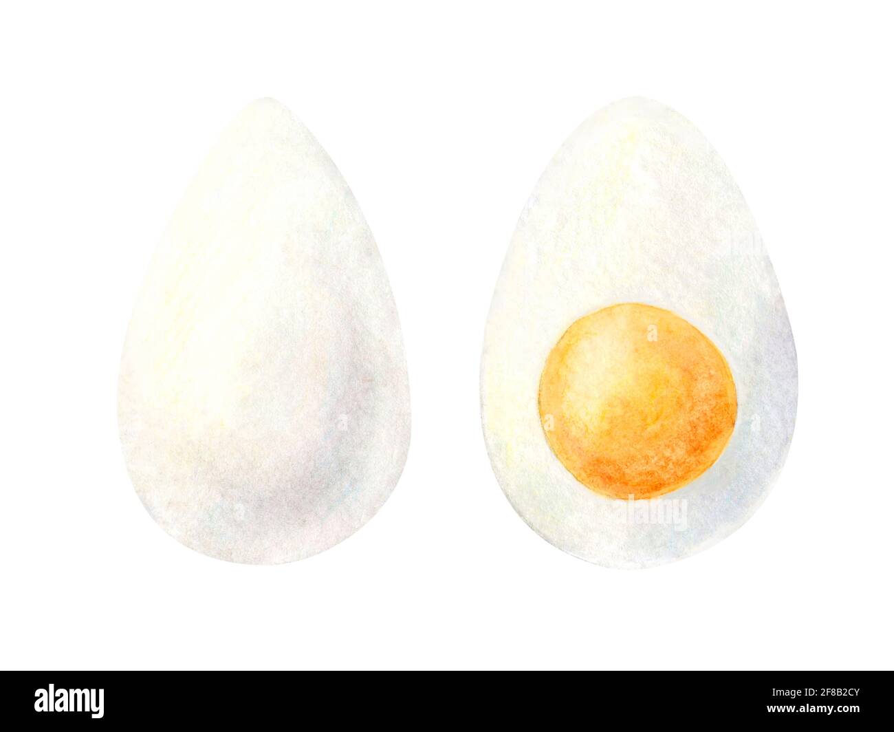 Ensemble de peinture aquarelle d'œufs bouillis illustration isolée sur fond blanc. La moitié de l'œuf en tranches pour le petit déjeuner. Ingrédients dessinés à la main pour le menu du restaurant, le reçu, l'étiquette, la conception de l'emballage. Banque D'Images
