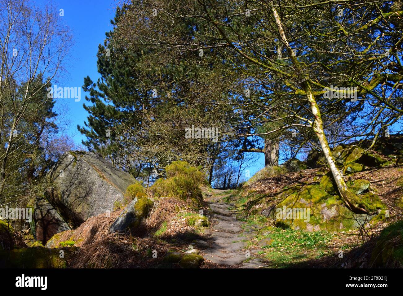 Slurring Rock, Hardcastle Crags, Pennines, West Yorkshire Banque D'Images