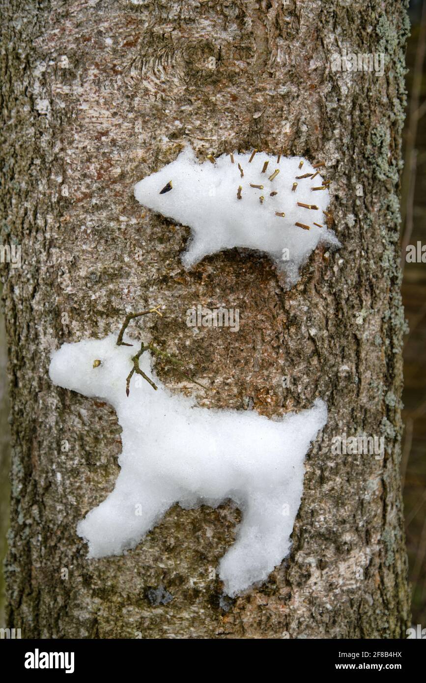 Approche créative des enfants. Les enfants ont collé une figure de neige d'un hérisson et d'un renne du Nord sur un arbre (comme un relief élevé) Banque D'Images