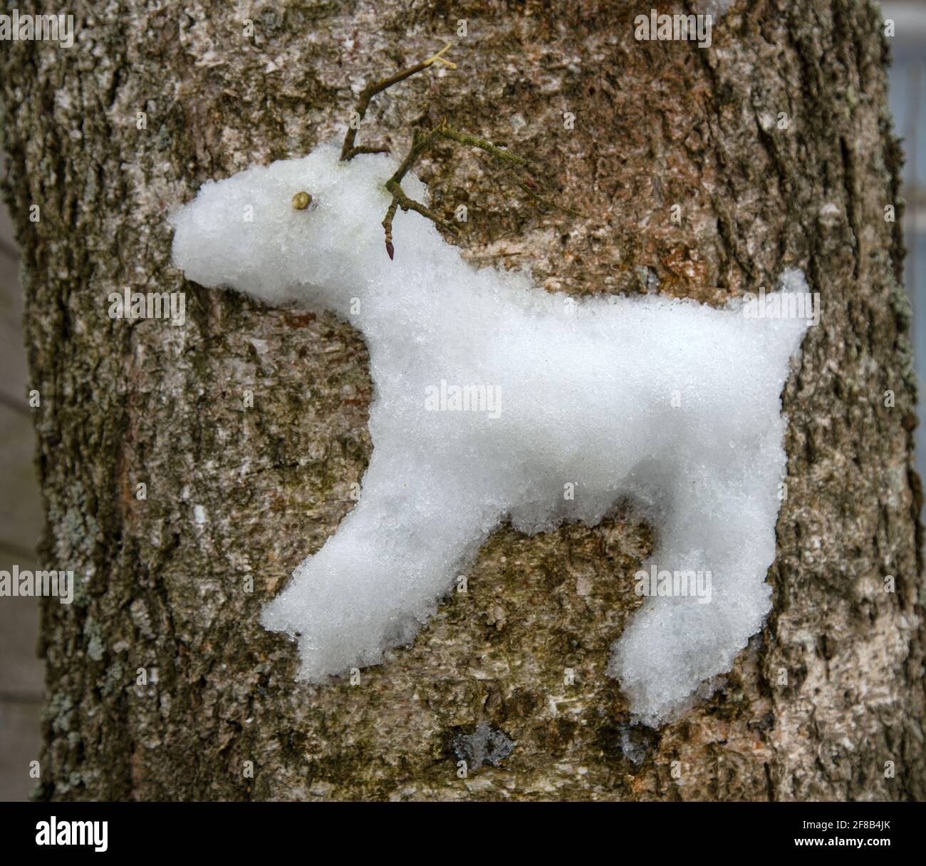 Approche créative des enfants. Les enfants ont coincé une figure de neige d'un renne du Nord sur un arbre (comme un haut relief). Banque D'Images