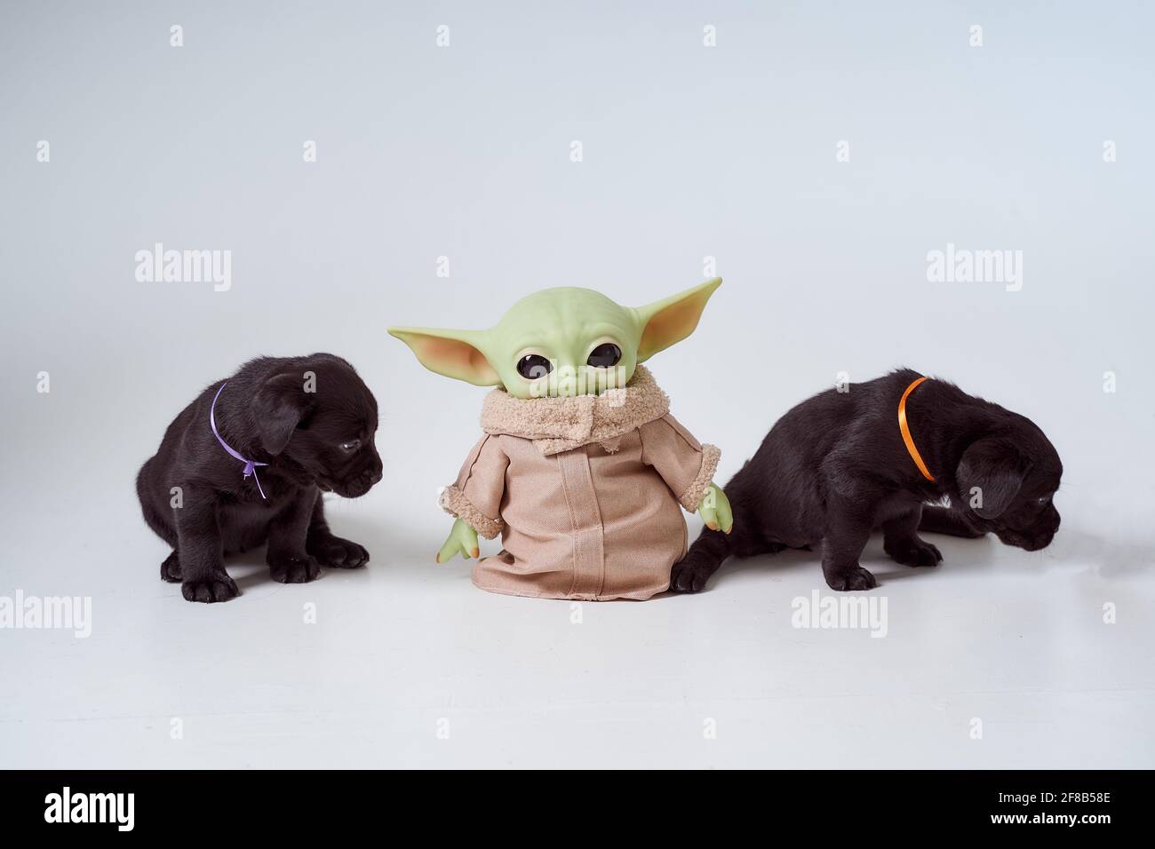 Tete De Bebe Grogu Bebe Yoda Gros Plan Jouet Realiste Arriere Plan Sombre Photo De Haute Qualite Photo Stock Alamy