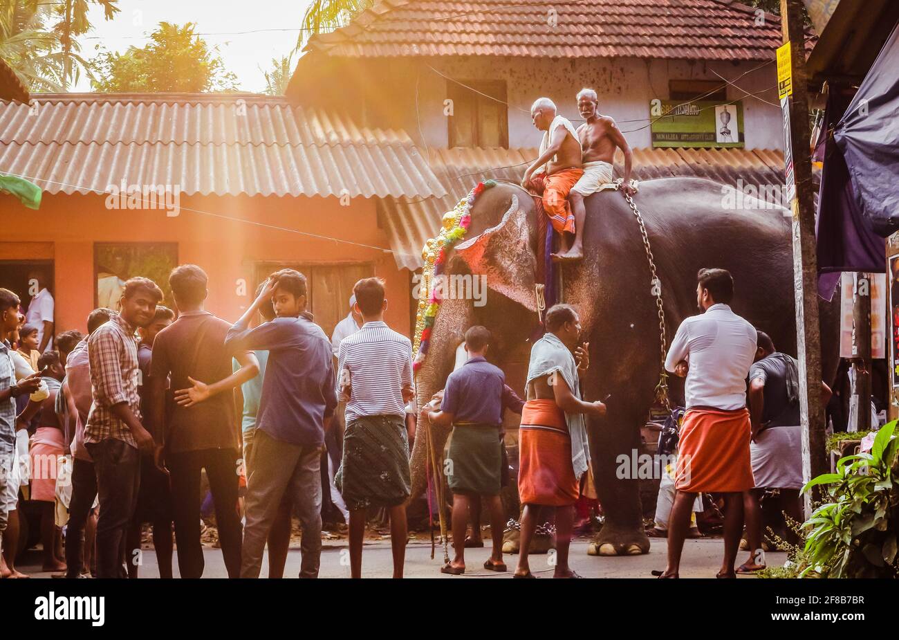 festival elaphant de kerala Banque D'Images