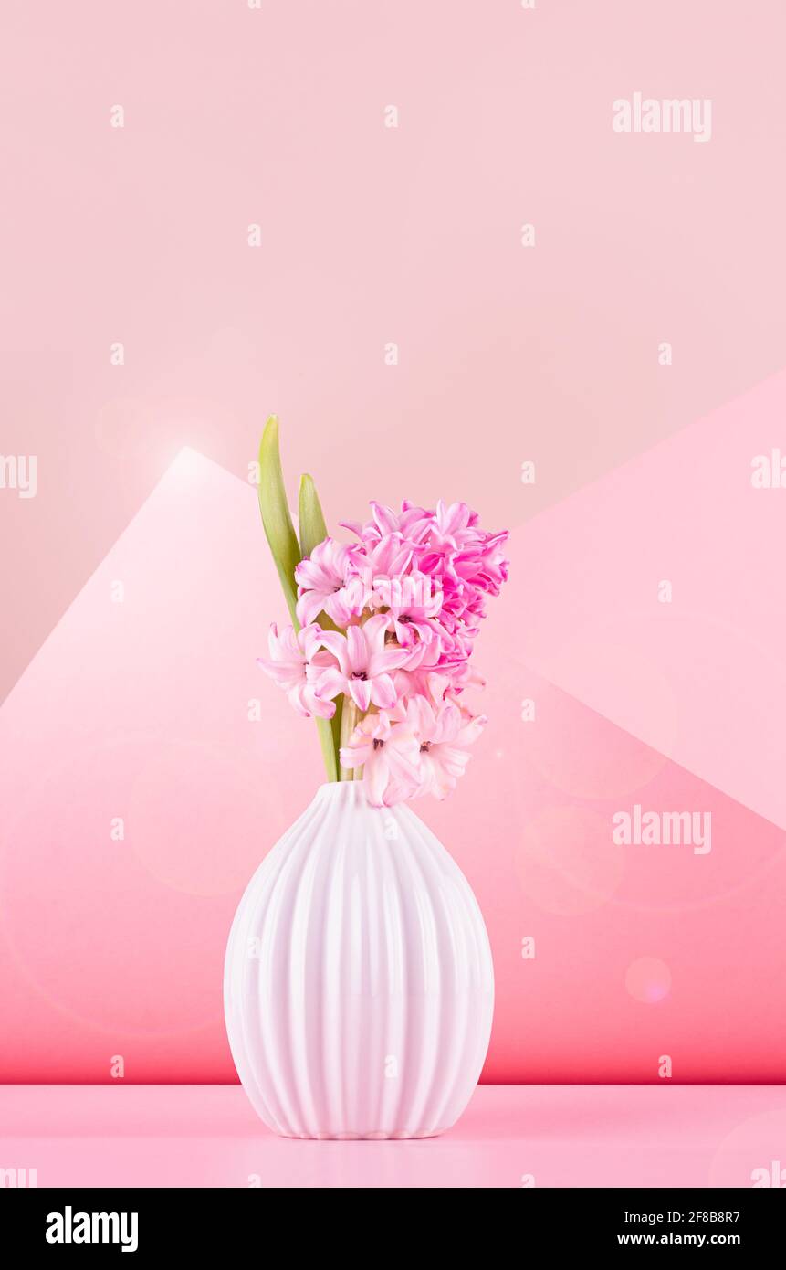 Fleurs de jacinthe de source lumineuse dans un vase en céramique blanc à la lumière du soleil avec éclat de soleil dans un élégant géométrique rose contemporain espace avec coin, espace de copie, v Banque D'Images