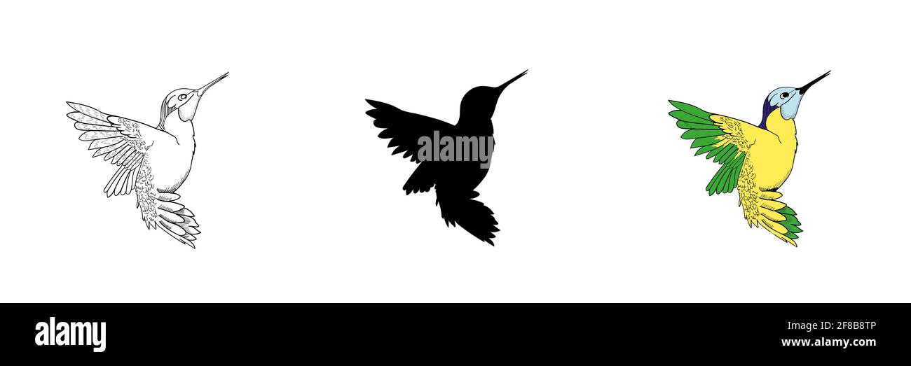 Ensemble de trois colibris de style différent. Illustration de Vecteur