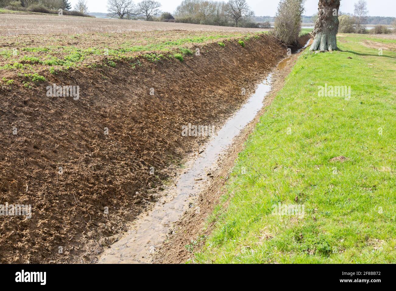 Eau de drainage des fossés récemment vidée des champs à la rivière Deben, Sutton, Suffolk, Angleterre, Royaume-Uni Banque D'Images