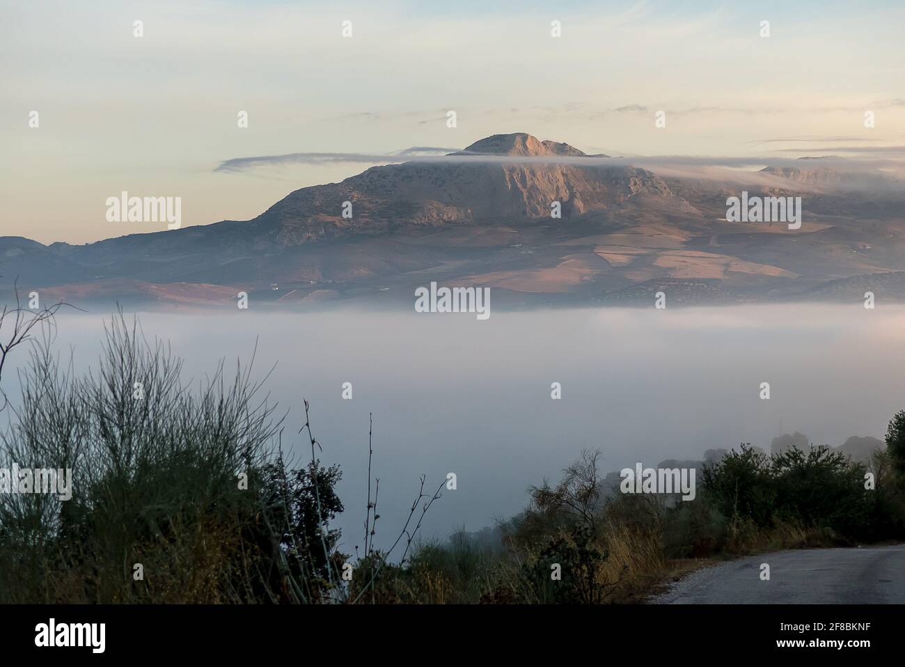 Province de Malaga en Espagne : une matinée brumeuse dans la campagne près de Casabermeja Banque D'Images