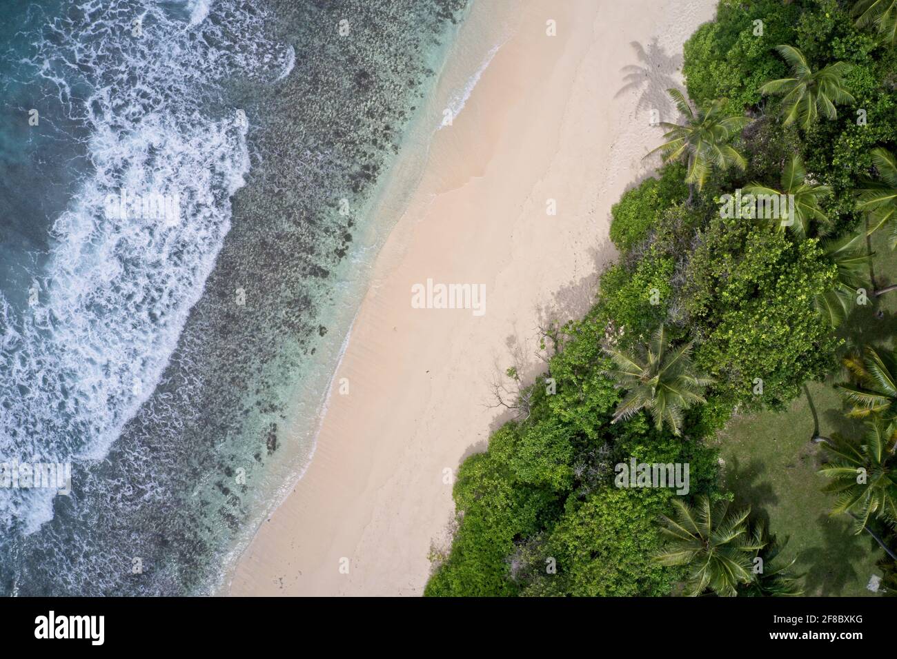 Vue aérienne des palmiers et de la plage formant des motifs en arrière-plan de la nature Praslin, Seychelles. Banque D'Images