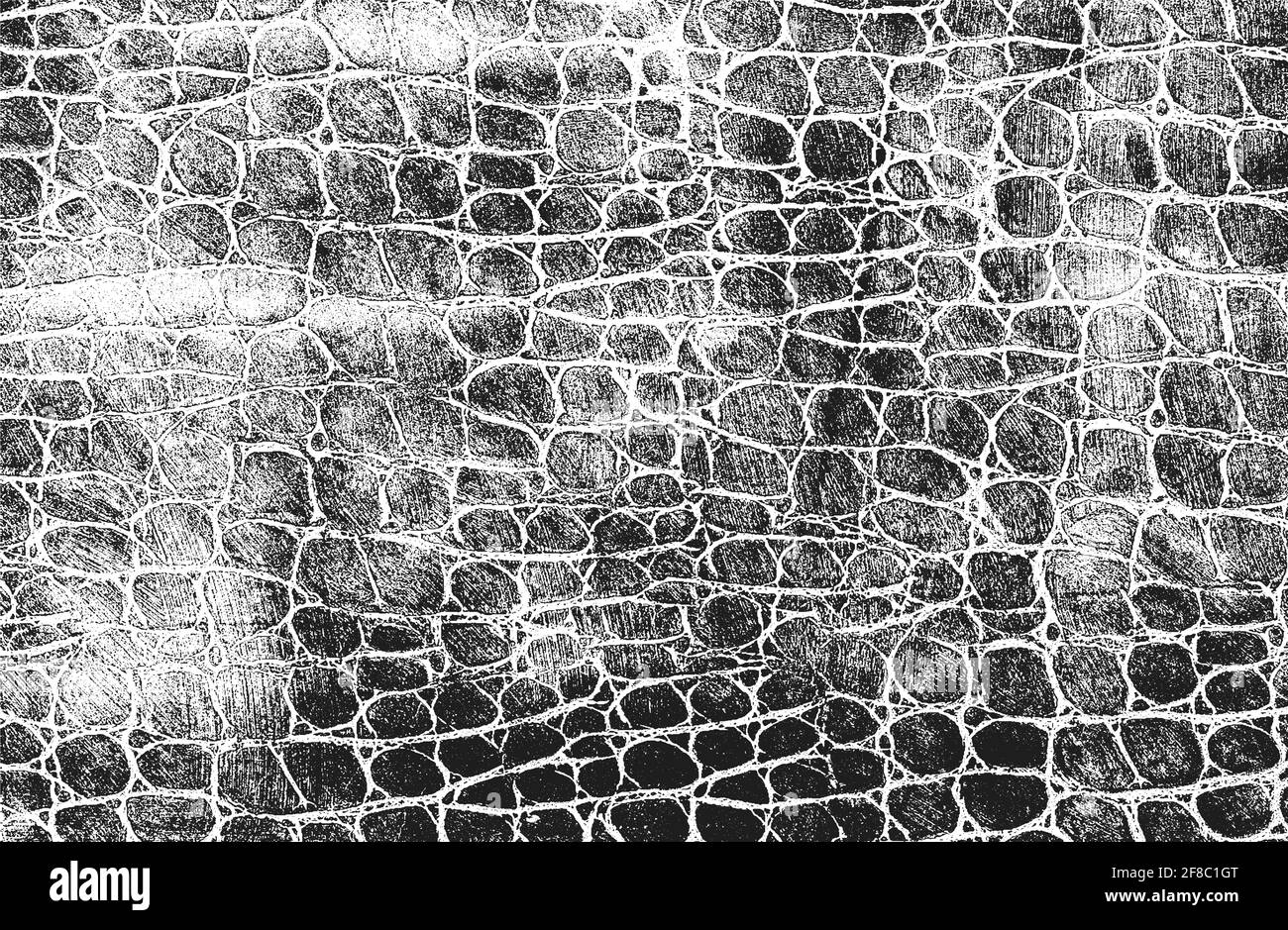 Texture de recouvrement en peau de crocodile ou de serpent, arrière-plan grunge. Illustration vectorielle abstraite de demi-teinte Illustration de Vecteur