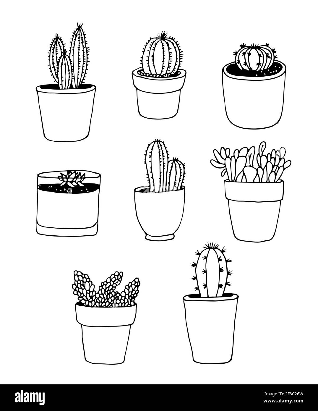 Ensemble de vecteurs Cactus dessinés à la main, collection de plantes isolée sur fond blanc Illustration de Vecteur