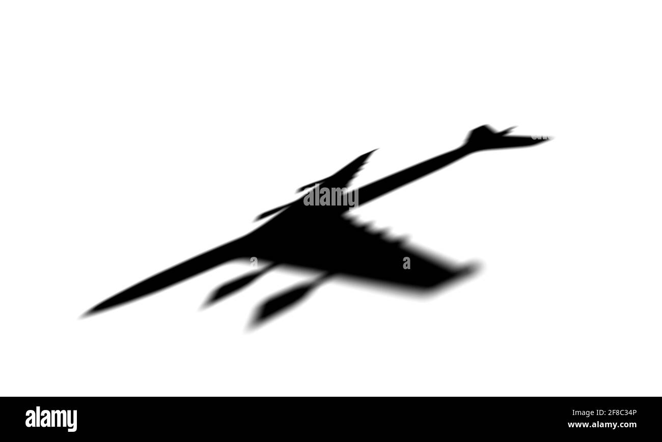 Ombre de l'avion sur un fond blanc. Ombre de l'avion isolée. Photo de haute qualité Banque D'Images