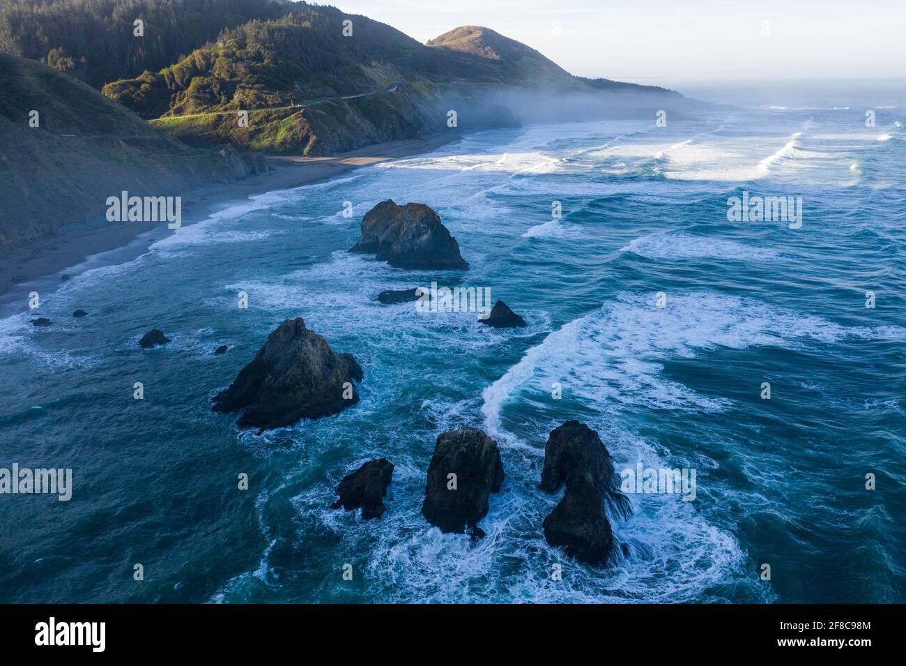 pacific rencontre
