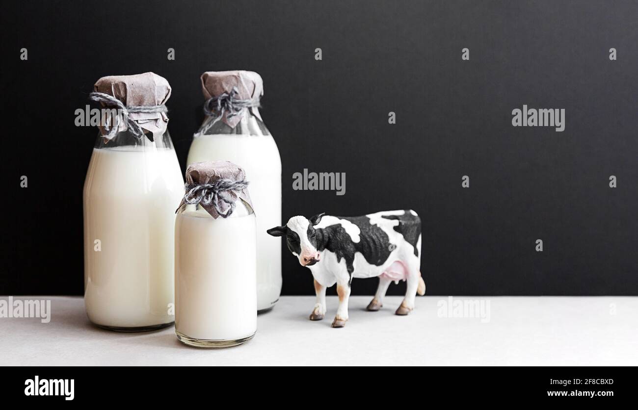 AnnonceVache decorative | Vache decorative chez