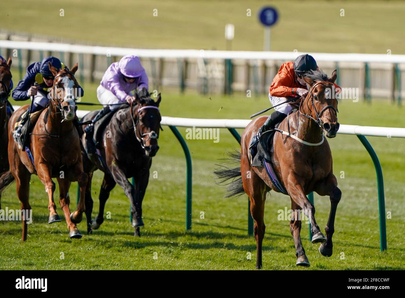 Jockey Jack Mitchell à cheval Double ou Bubble sur leur chemin à gagner la promesse de prix à bet365 handicap à l'hippodrome de Newmarket. Date de la photo: Mardi 13 avril 2021. Banque D'Images