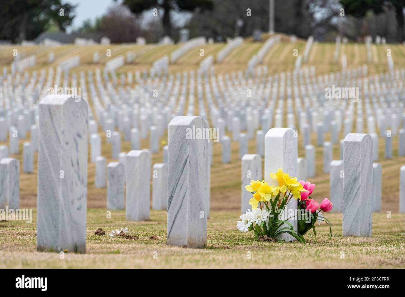 Pierres tombales blanches au cimetière national de fort Gibson à fort Gibson, Oklahoma. (ÉTATS-UNIS) Banque D'Images