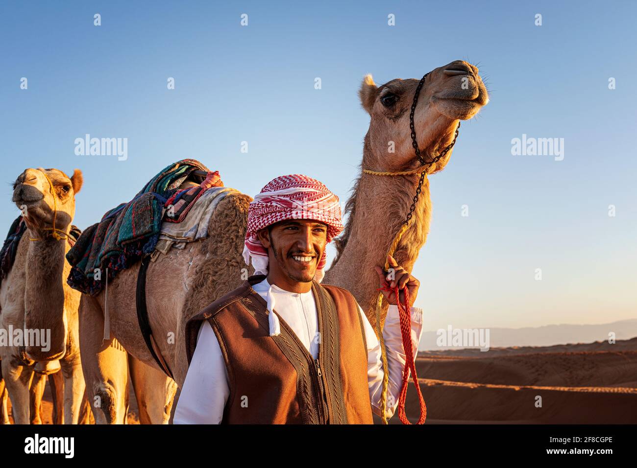 Chameau Herder en Oman Banque D'Images