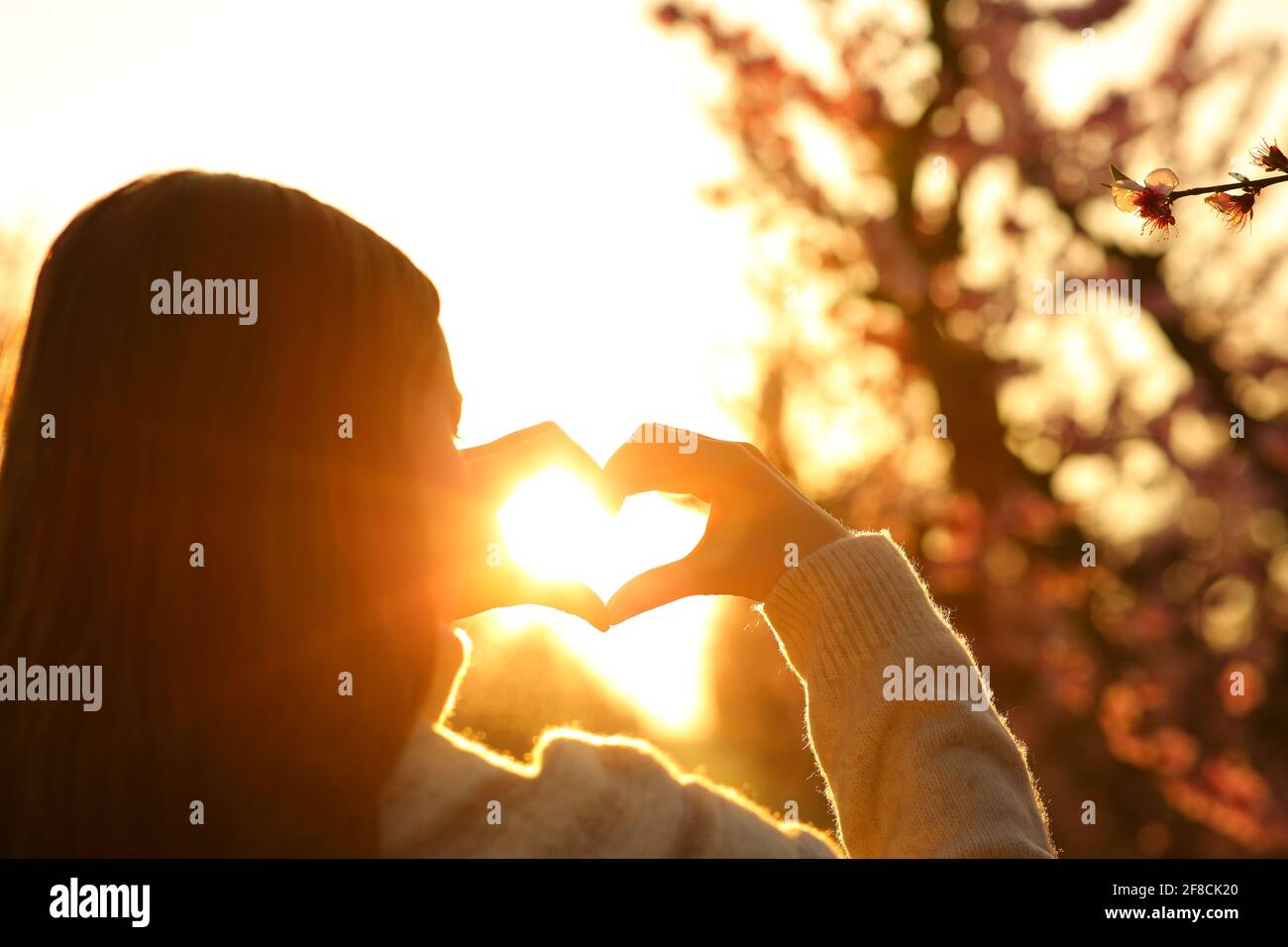 Gros plan d'une femme mains faisant la forme du cœur à coucher de soleil dans un champ Banque D'Images