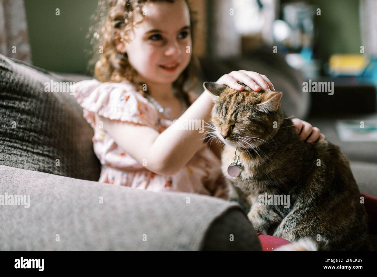 Petite fille jouant avec son chat sur le canapé dedans le salon Banque D'Images