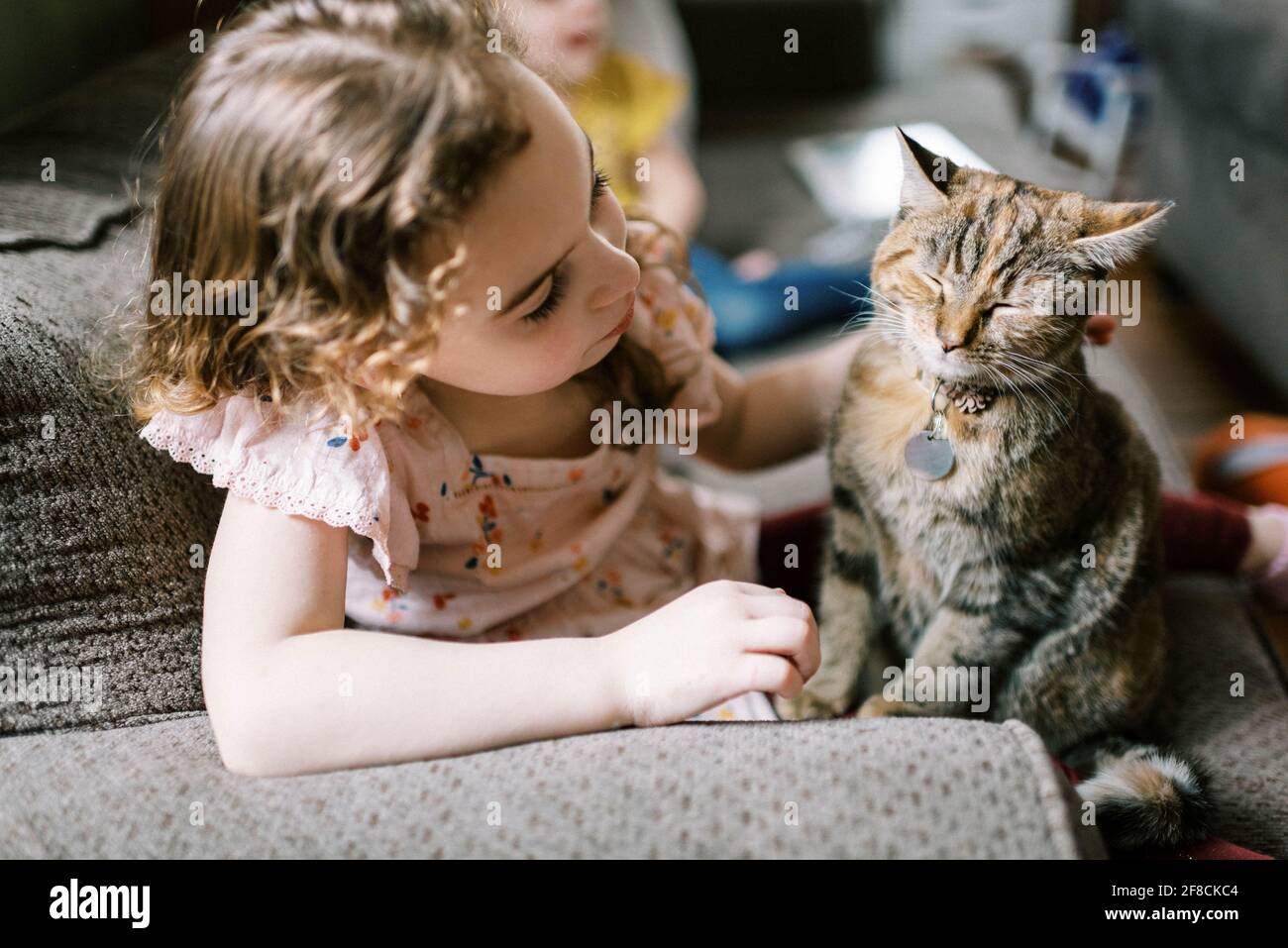 Petite fille jouant avec son chat sur le canapé dedans le salon Banque D'Images