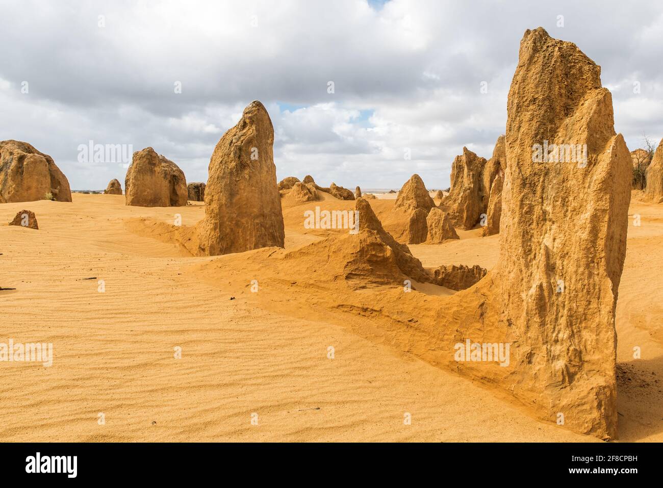 Le désert des Pinnacles (parc national de Nambung, Cervantes, Australie occidentale). Piliers de calcaire géants. Vaste paysage désertique jaune Banque D'Images