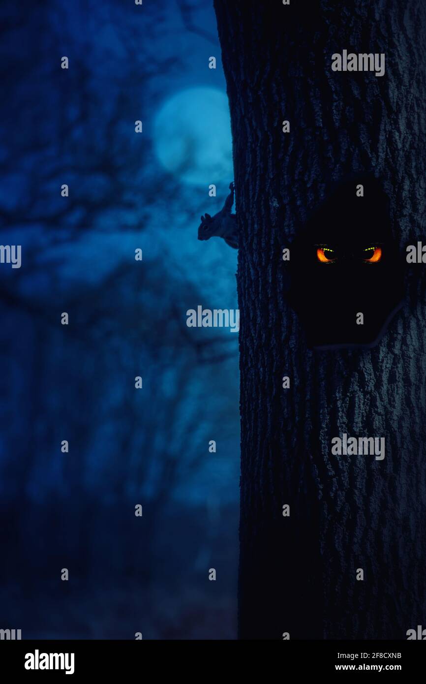 Forêt sombre effrayante. Une paire d'yeux de hibou regardant hors d'un arbre creux sombre Banque D'Images